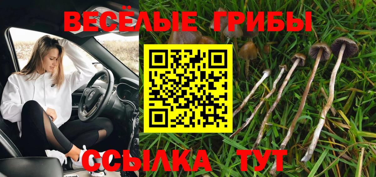 Галлюциногенные грибы мухоморы Ахтубинск