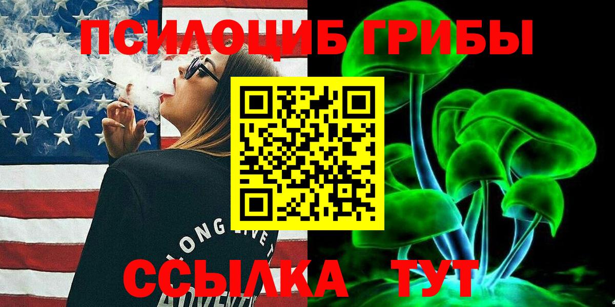 цены наркотик  Псилоцибиновые грибы Psilocybe  Вход с VPN  Ахтубинск 